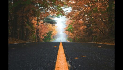 【EDMのフリー音源】秋の通り道(Through the Autumn road )【秋・道】