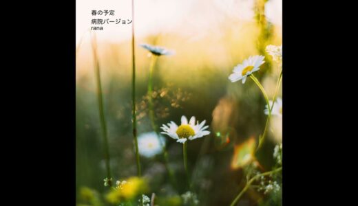 【オルゴールのフリー音源】春の予定(Spring Schdule)【赤ちゃん・寝かしつけ・小児科・精神科・病院・待合室・福祉施設・midiあり】